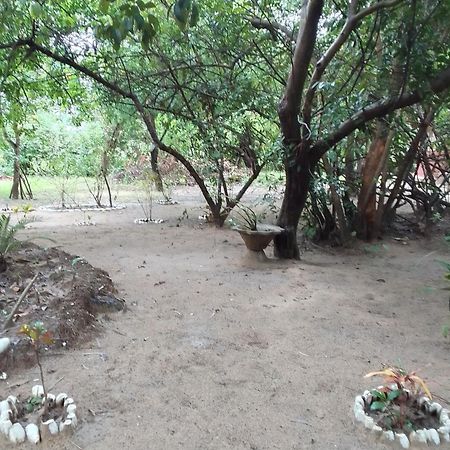 לינה וארוחת בוקר Abémé Little Baobab מראה חיצוני תמונה
