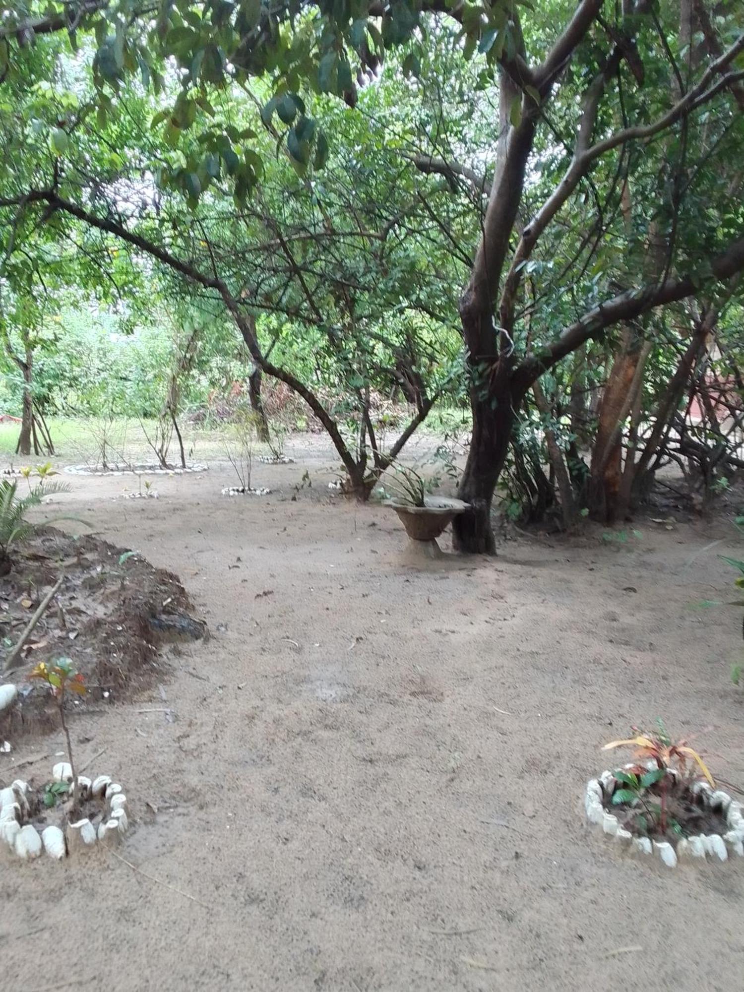 לינה וארוחת בוקר Abémé Little Baobab מראה חיצוני תמונה