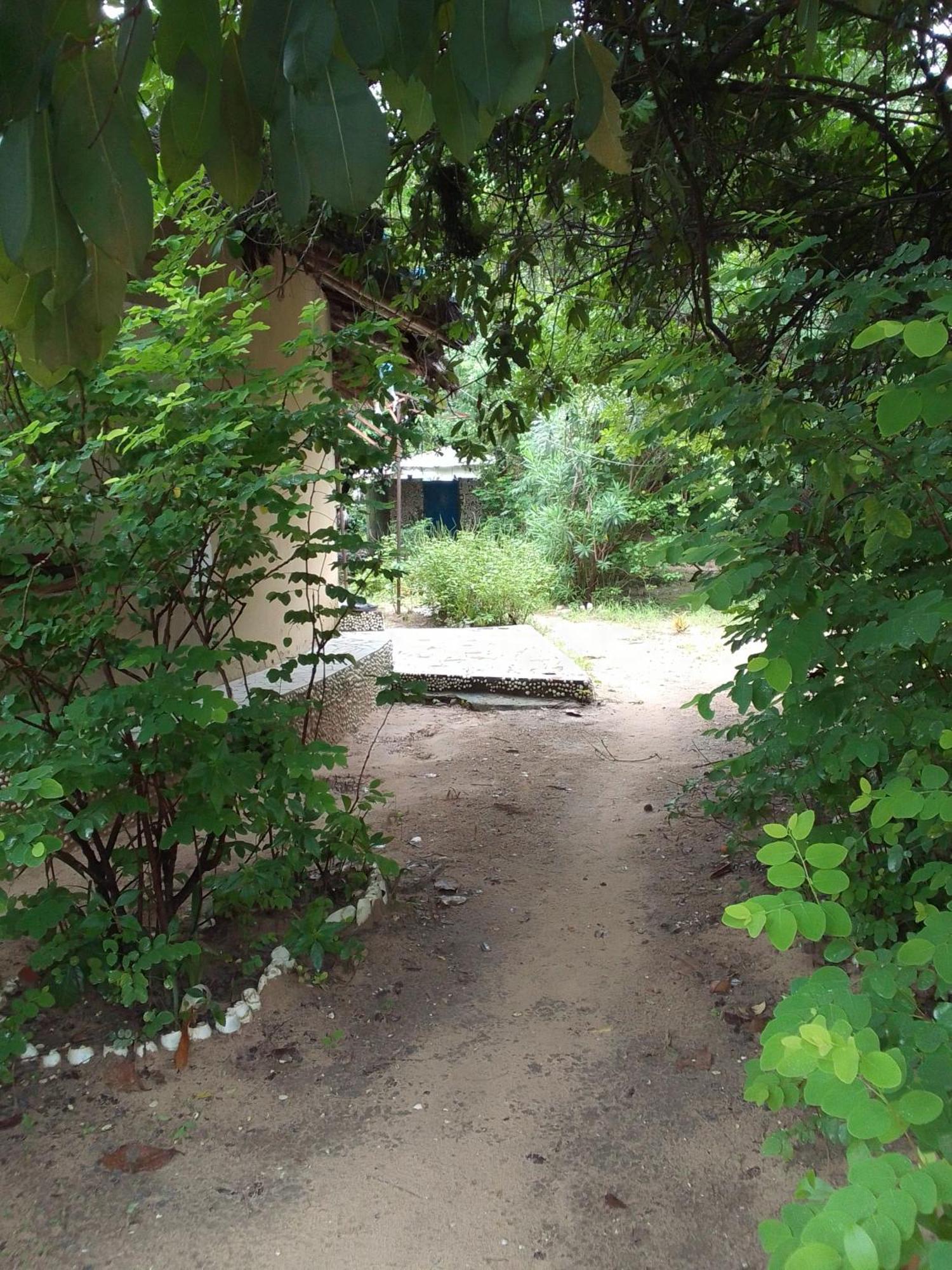 לינה וארוחת בוקר Abémé Little Baobab מראה חיצוני תמונה