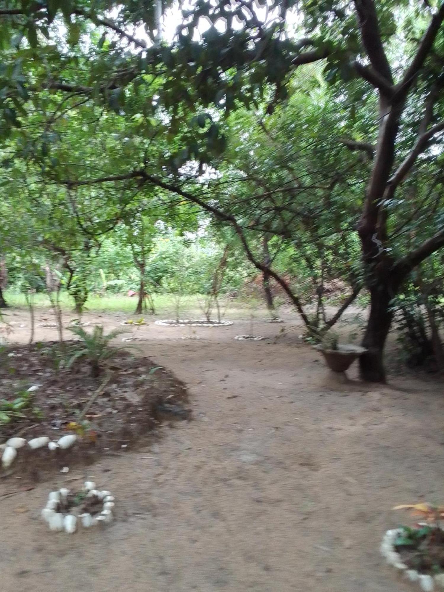 לינה וארוחת בוקר Abémé Little Baobab מראה חיצוני תמונה